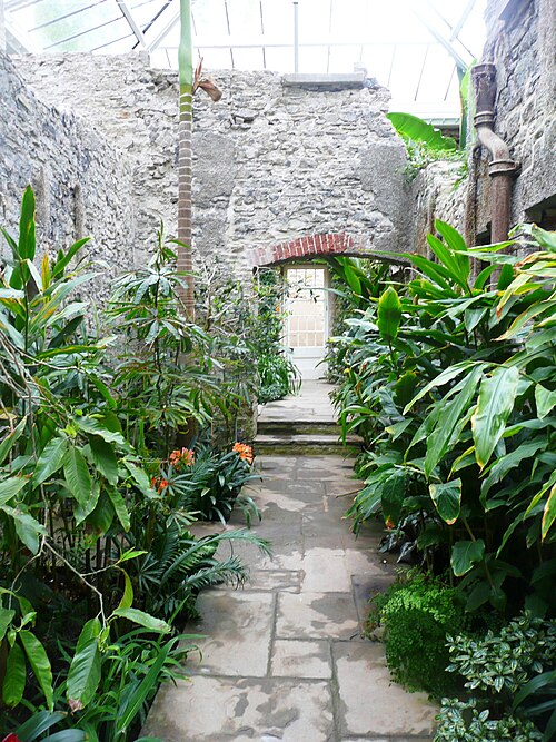 Aberglasney Ninfarium, Llangathen, Carmarthenshire, Wales — The Ninfarium, Aberglasney House