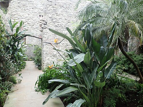Ninfarium d'Aberglasney, Llangathen, Carmarthenshire, pays de Galles — Ninfarium, Aberglasney