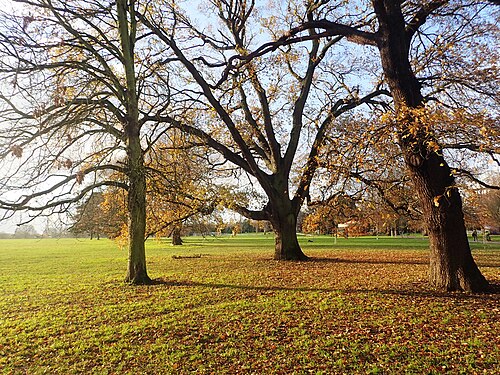 Winter Garden d'Avery Hill, Eltham, Londres (Greenwich) — Avery Hill Park