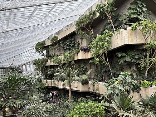 Barbican Conservatory, London, England — View of the botanic garden inside the Barbican Conservatory in London.
