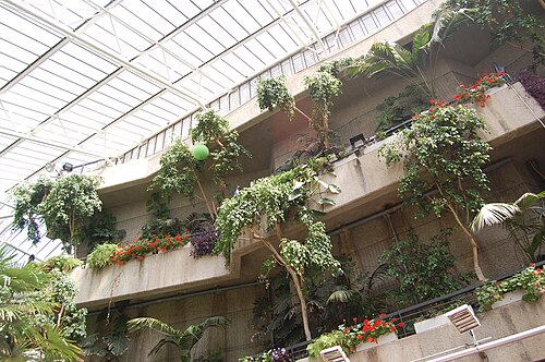 Barbican Conservatory, London, England — The Barbican Centre , London.