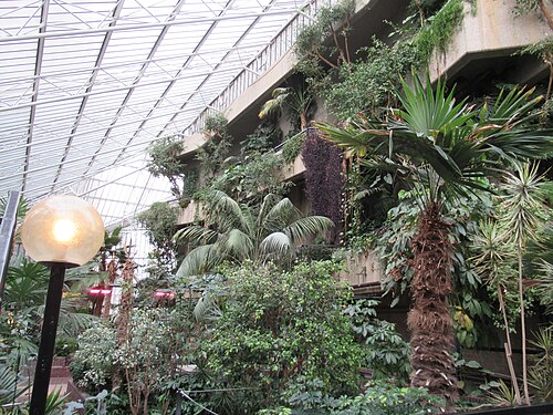 Barbican Conservatory, London, England — Inside the very attractive large conservatory in London's Barbican Centre.