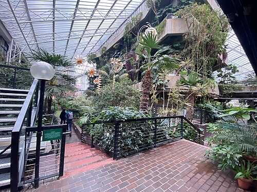Barbican Conservatory, London, England — Barbican Conservatory in London