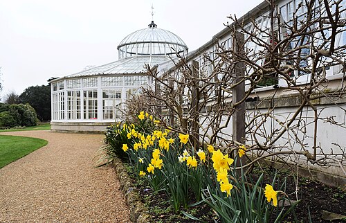 チジック・ハウスのコンサバトリー, チジック、ロンドン（ハウンズロー） — Chiswick House &amp; Gardens - London