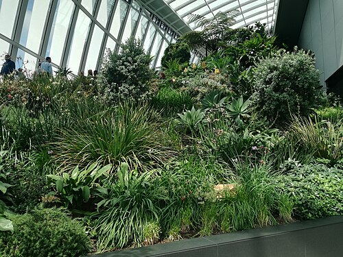Sky Garden, 20 Fenchurch Street, City of London, London — Plants in the Sky Garden in London.