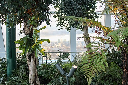 Sky Garden, 20 Fenchurch Street, City of London, London — Sky Garden at the top of 20 Fenchurch Street "The Walkie Talkie", London
