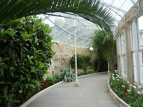 Great Conservatory, Syon Park, Syon Park, Brentford (London) — Inside the Great Conservatory at Syon House