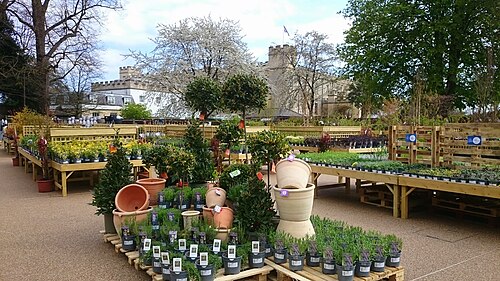 Grande serre de Syon Park (Great Conservatory), Syon Park, Brentford (Londres) — Hillier garden centre, Syon Park