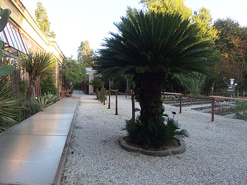 Gewächshäuser des Orto botanico comunale von Lucca (serre antiche von 1826 und moderne Gewächshäuser), Lucca, Toskana — Lucca , Tuscany, Italy. Botanic garden.