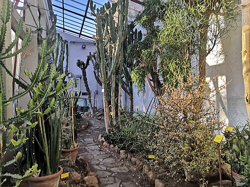 Gewächshäuser des Orto botanico comunale von Lucca (serre antiche von 1826 und moderne Gewächshäuser), Lucca, Toskana — Gewächshäuser des Orto botanico comunale von Lucca — Ansicht 2