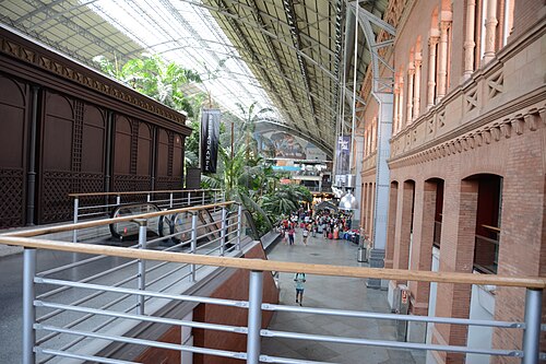 Jardin tropical de la gare d'Atocha (Jardín Tropical de Atocha), Madrid, Communauté de Madrid — Atocha (inside)