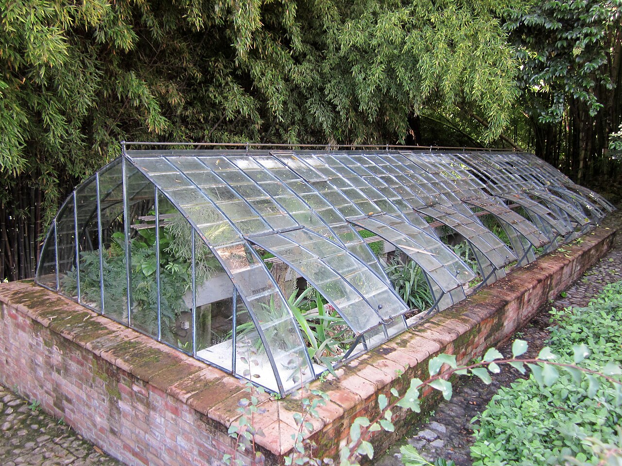 Serres du Jardin botanique-historique La Concepción (invernaderos antiguos et estufa caliente), Málaga, Andalousie — Greenhouse at the Jardín Botánico La Concepción , Malaga , Spain