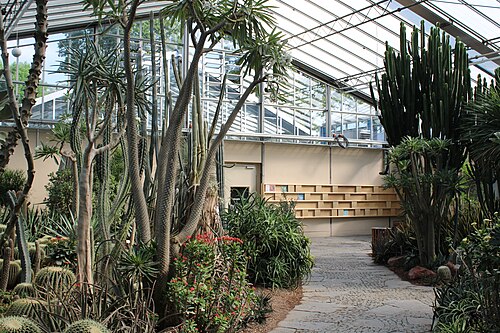 ルイーゼンパークの植物展示館（プフランツェンシャウハウス）, マンハイム、バーデン＝ヴュルテンベルク — Bundesgartenschau 2023 in Mannheim (Baden-Württemberg) - In der Pflanzenschauhaus bei…