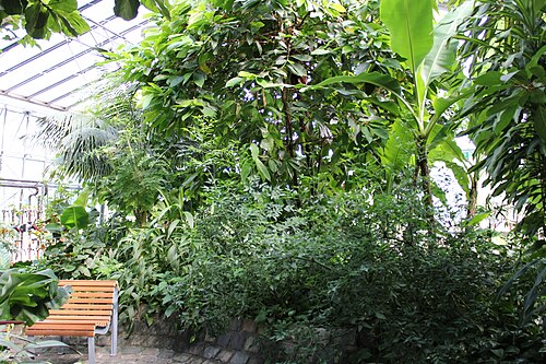 ルイーゼンパークの植物展示館（プフランツェンシャウハウス）, マンハイム、バーデン＝ヴュルテンベルク — ルイーゼンパークの植物展示館（プフランツェンシャウハウス） — 3枚目