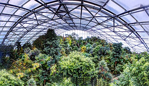 Masoala-Halle, Zürich — zoo züri 2014 high dynamic range