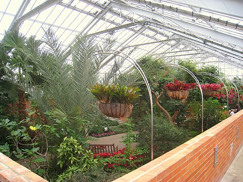 Matthaei Botanical Gardens Conservatory, Ann Arbor, Michigan — General view inside conservatory - Matthaei Botanical Gardens, University of Michigan…