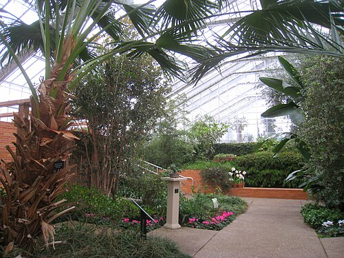Matthaei Botanical Gardens Conservatory, Ann Arbor, Michigan — Matthaei Botanical Gardens Conservatory — Ansicht 2