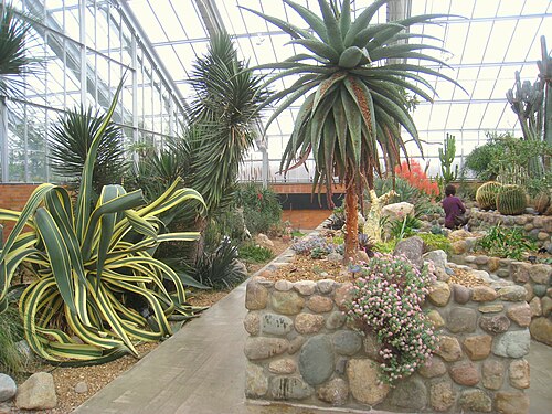 Matthaei Botanical Gardens Conservatory, Ann Arbor, Michigan — Matthaei Botanical Gardens Conservatory — Ansicht 3