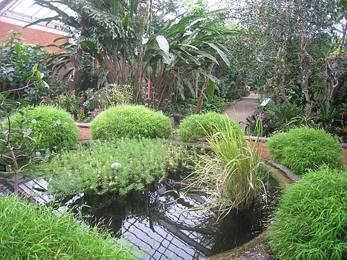 Matthaei Botanical Gardens Conservatory, Ann Arbor, Michigan — Matthaei Botanical Gardens Conservatory — Ansicht 4