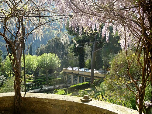 セール・ド・ラ・マドーヌ庭園の高温温室（serre chaude）, プロヴァンス＝アルプ＝コート・ダジュール地域圏マントン — Jardin Serre de la Madone, Menton, Alpes-Maritimes, France.