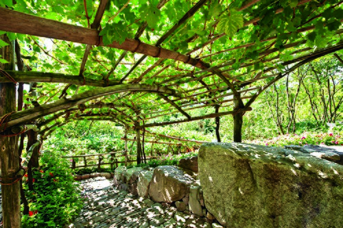 Glashaus (serre tropicale) des Jardins du château de Trauttmansdorff, Merano, Haut-Adige — The garden area Landscapes of South tyrol at the Gardens of Trauttmansdorff Castle.…