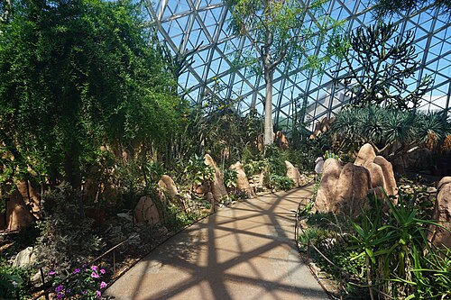 Mitchell Park Horticultural Conservatory (The Domes), Milwaukee, Wisconsin — The Desert Dome at Mitchell Park Horticultural Conservatory in Milwaukee , Wisconsin (…