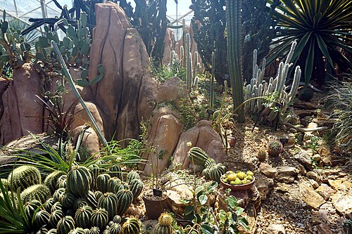 Mitchell Park Horticultural Conservatory (The Domes), Milwaukee, Wisconsin — Mitchell Park Horticultural Conservatory — Ansicht 4