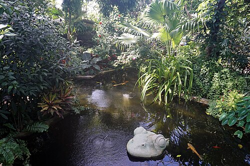 Mitchell Park Horticultural Conservatory (The Domes), Milwaukee, Wisconsin — The Tropical Dome at Mitchell Park Horticultural Conservatory in Milwaukee , Wisconsin (…