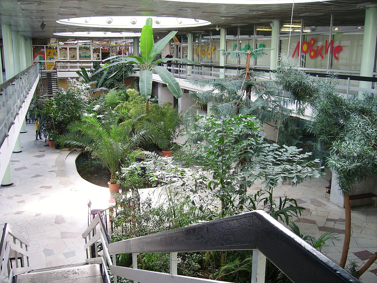 Wintergarten und Orangerie des Pionierpalastes (Vorobyovy Gory), Moskau (Kosygina-Straße, Vorobyovy Gory) — Moscow, Sparrow Hills, Palace of Pioneers. Winter garden. 2006