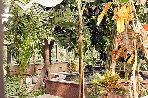Orangerie von Schloss Moszna (Oranżeria zamkowa), Moszna, Woiwodschaft Opole — Moszna, zespół pałacowy, XVIII, XX