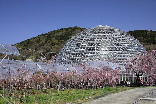 Gewächshaus der tropischen Früchte der Welt, Togokusan Fruit Park (東谷山フルーツパーク 世界の熱帯果樹温室), Moriyama-ku, Nagoya, Präfektur Aichi — Gewächshaus der tropischen Früchte der Welt, Togokusan Fruit Park — Ansicht 1