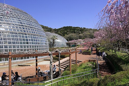 Gewächshaus der tropischen Früchte der Welt, Togokusan Fruit Park (東谷山フルーツパーク 世界の熱帯果樹温室), Moriyama-ku, Nagoya, Präfektur Aichi — Gewächshaus der tropischen Früchte der Welt, Togokusan Fruit Park — Ansicht 2