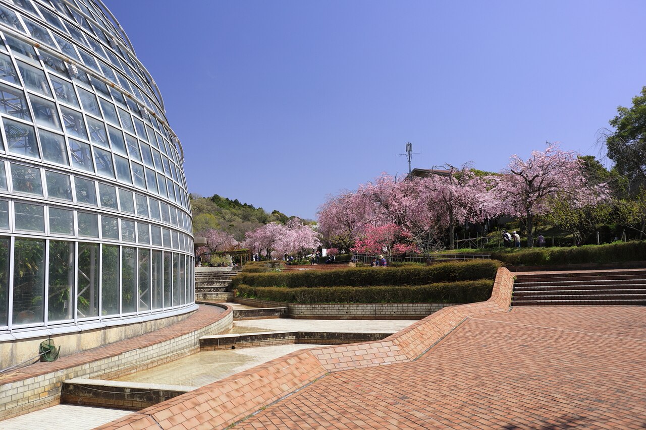 Gewächshaus der tropischen Früchte der Welt, Togokusan Fruit Park (東谷山フルーツパーク 世界の熱帯果樹温室), Moriyama-ku, Nagoya, Präfektur Aichi — Gewächshaus der tropischen Früchte der Welt, Togokusan Fruit Park — Ansicht 3