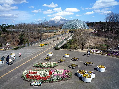 Tottori Hanakairo Flower Dome (とっとり花回廊 フラワードーム), Nanbu, Präfektur Tottori — Tottori Hanakairo-Flower Park, Nanbu, Tottori