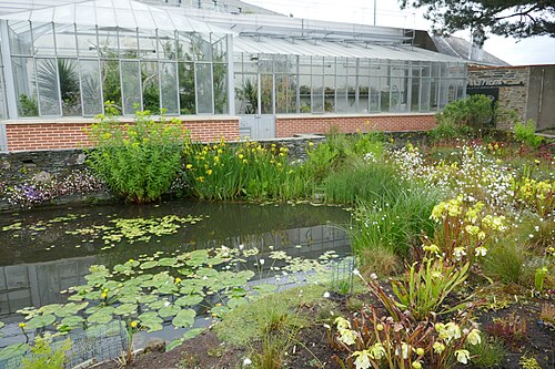 Gewächshäuser des Jardin des plantes de Nantes (Palmarium und Orangerie), Nantes, Pays de la Loire — Gewächshäuser des Jardin des plantes de Nantes — Ansicht 4