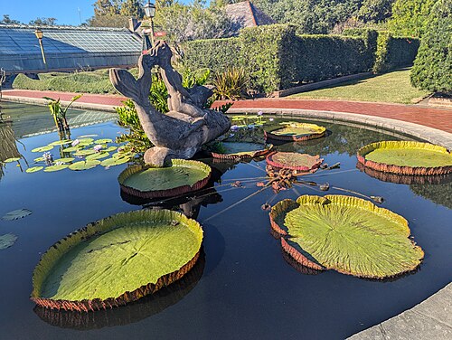 Conservatory of the Two Sisters (New Orleans Botanical Garden), New Orleans, Louisiana — New Orleans Botanical Garden