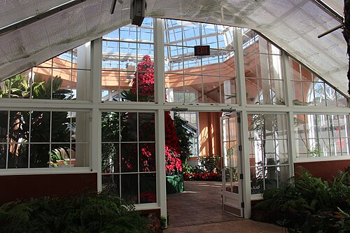 Conservatory of the Two Sisters (New Orleans Botanical Garden), New Orleans, Louisiana — Christmas in New Orleans