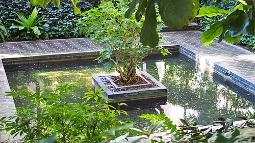 Atriumgarten, Ford Foundation Center for Social Justice, Turtle Bay, Manhattan, New York — It is already rare to have a water body inside an office building, what is even rarer is…