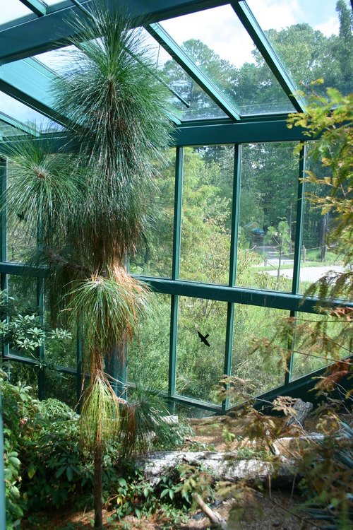 Appalachian Cove und Cypress Swamp, glasgedeckte Lebensräume im Virginia Living Museum, Newport News, Virginia — photo 1