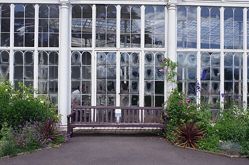 Camellia House de Wollaton Hall, Nottingham, Nottinghamshire — Camellia House, Wollaton Park