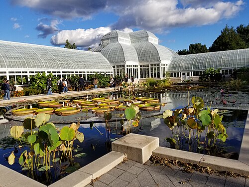 Enid A. Haupt Conservatory, Bronx, New York — Inside view of the Haupt Conservatory in October, 2018