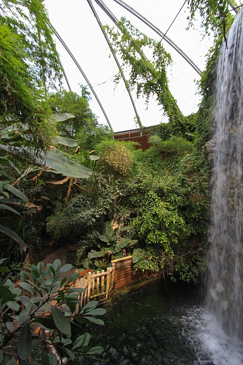 Grüne Pyramide, Zoo Nyíregyháza (Zöld Piramis: Esőerdőház und Óceanárium), Nyíregyháza (Sóstó), Komitat Szabolcs-Szatmár-Bereg — Nyíregyháza Zoo, palm-house label QS:Len,"Nyíregyháza Zoo, palm-house" label…