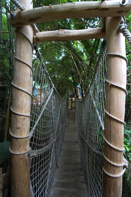 Grüne Pyramide, Zoo Nyíregyháza (Zöld Piramis: Esőerdőház und Óceanárium), Nyíregyháza (Sóstó), Komitat Szabolcs-Szatmár-Bereg — Grüne Pyramide, Zoo Nyíregyháza — Ansicht 4