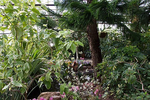 Städtisches Gewächshaus und Wintergarten von Oakville (Oakville Municipal Greenhouse and Conservatory), Oakville, Ontario — Oakville Municipal Greenhouse