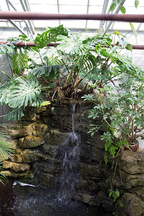 Städtisches Gewächshaus und Wintergarten von Oakville (Oakville Municipal Greenhouse and Conservatory), Oakville, Ontario — Städtisches Gewächshaus und Wintergarten von Oakville — Ansicht 3