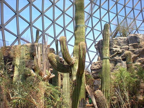 Desert Dome (Omaha's Henry Doorly Zoo and Aquarium), Omaha, Nebraska — The Desert Dome at Omaha's Henry Doorly Zoo