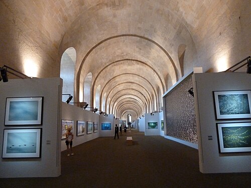 Orangerie des Schlosses von Versailles, Versailles — Château de Versailles orangerie galerie centrale (155 mètres de long) en regardant vers…