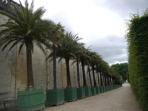 Orangerie des Schlosses von Versailles, Versailles — Photograph taken at the Park of the 'Château de Versailles' in France.