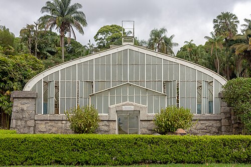 Orchideenhaus, Institut für Botanik, São Paulo — Orquidário Frederico Carlos Hoehne, Jardim Botanico de São Paulo, Brazil
