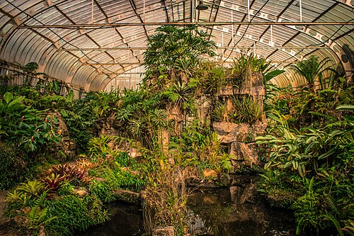 Orchideenhaus, Institut für Botanik, São Paulo — Jardim Botânico de SP